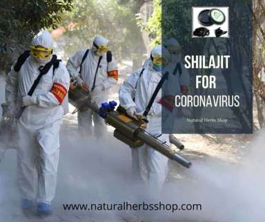 Shilajit for Corona virus By Natural Herbs SHop