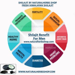 shilajit benefits for men