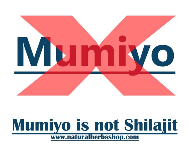 shilajit side effects