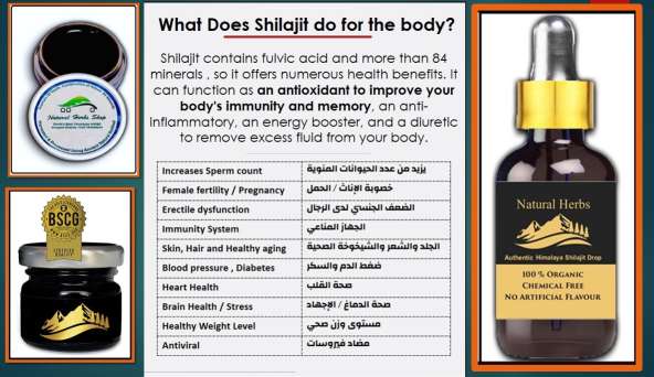 What Does Shilajit do for the body