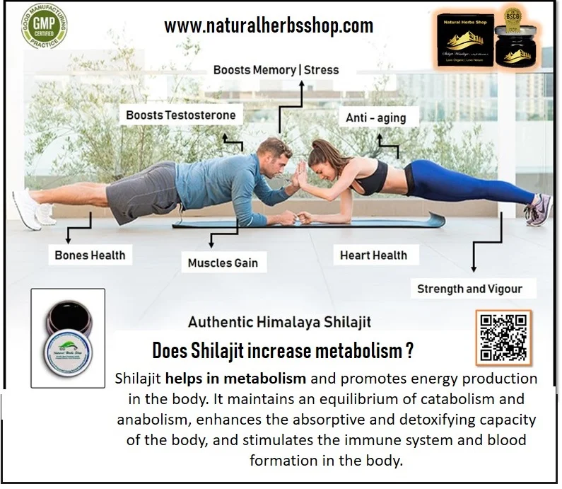 Does Shilajit increase metabolism