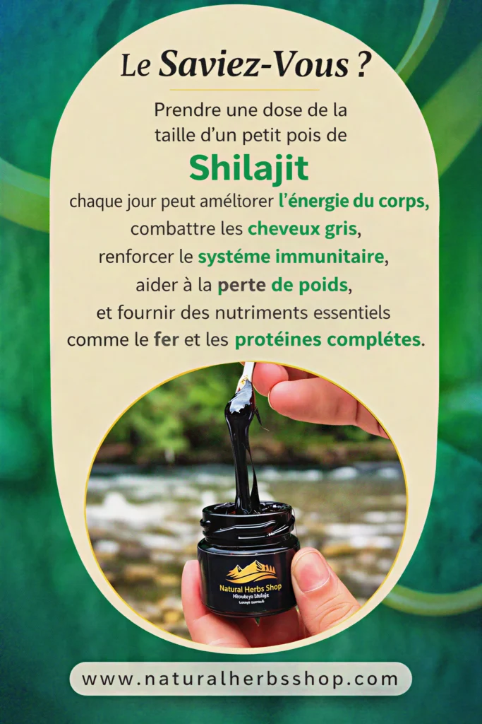 Quels sont les effets du shilajit sur le corps Fr